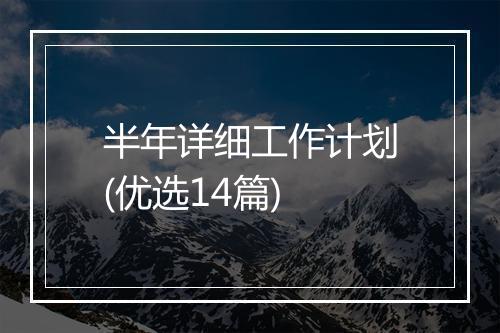 半年详细工作计划(优选14篇)