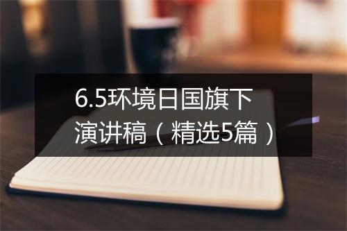 6.5环境日国旗下演讲稿（精选5篇）