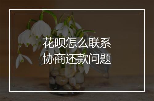 花呗怎么联系协商还款问题