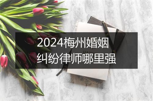 2024梅州婚姻纠纷律师哪里强
