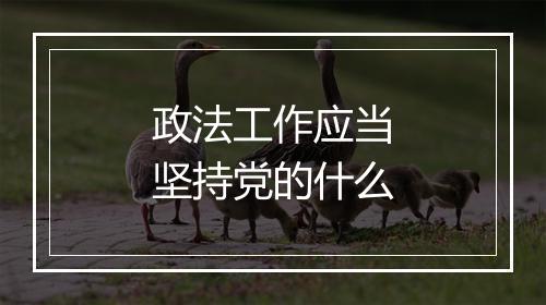 政法工作应当坚持党的什么