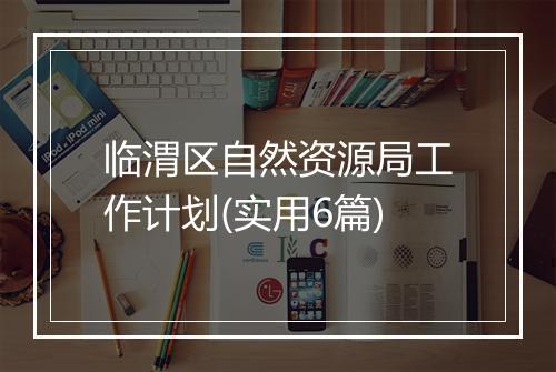 临渭区自然资源局工作计划(实用6篇)
