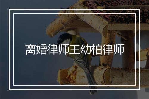 离婚律师王幼柏律师