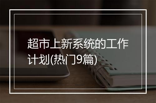 超市上新系统的工作计划(热门9篇)