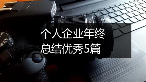 个人企业年终总结优秀5篇