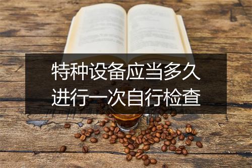 特种设备应当多久进行一次自行检查