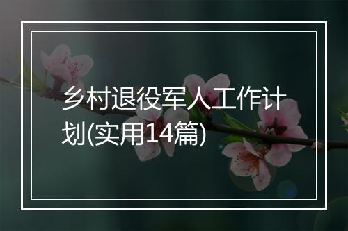 乡村退役军人工作计划(实用14篇)