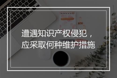 遭遇知识产权侵犯，应采取何种维护措施
