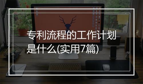 专利流程的工作计划是什么(实用7篇)