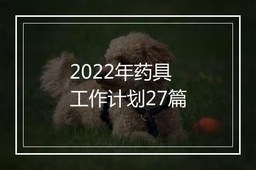 2022年药具工作计划27篇