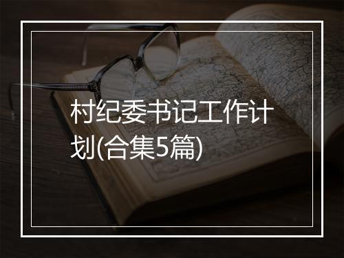 村纪委书记工作计划(合集5篇)