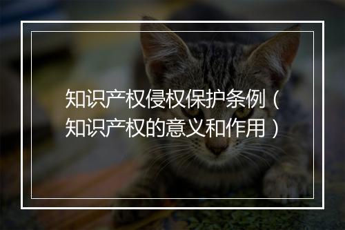 知识产权侵权保护条例（知识产权的意义和作用）