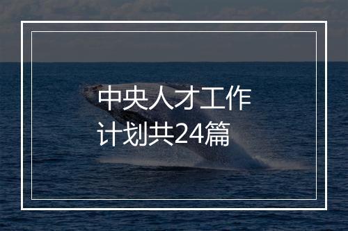 中央人才工作计划共24篇