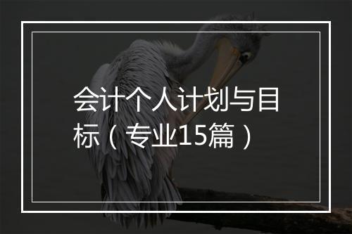 会计个人计划与目标（专业15篇）