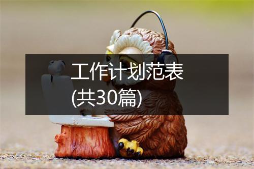 工作计划范表(共30篇)
