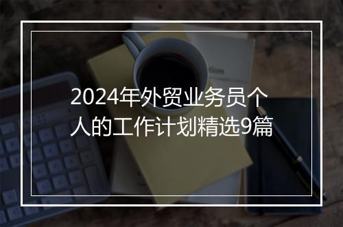 2024年外贸业务员个人的工作计划精选9篇