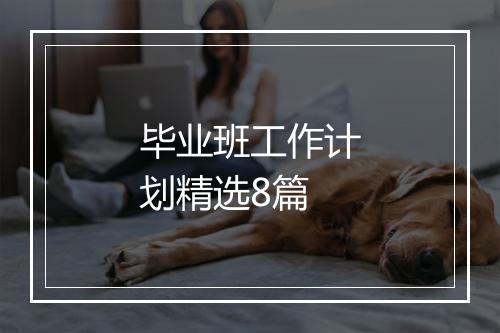 毕业班工作计划精选8篇