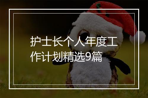 护士长个人年度工作计划精选9篇