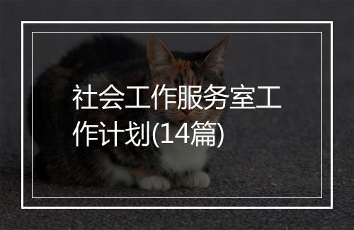 社会工作服务室工作计划(14篇)