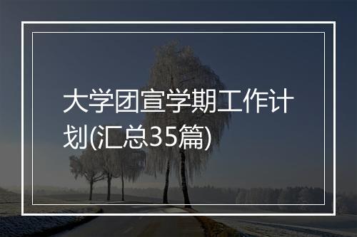 大学团宣学期工作计划(汇总35篇)