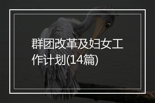 群团改革及妇女工作计划(14篇)