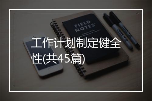 工作计划制定健全性(共45篇)