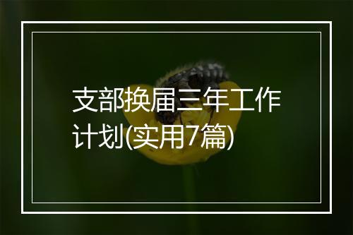 支部换届三年工作计划(实用7篇)