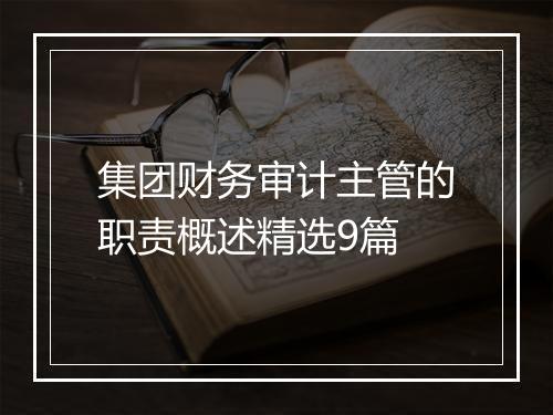 集团财务审计主管的职责概述精选9篇