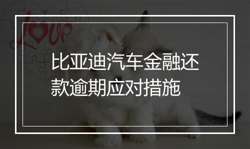 比亚迪汽车金融还款逾期应对措施