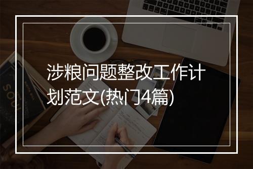 涉粮问题整改工作计划范文(热门4篇)