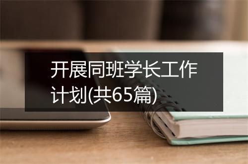 开展同班学长工作计划(共65篇)