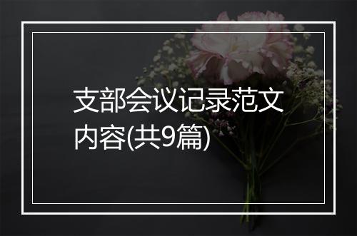 支部会议记录范文内容(共9篇)