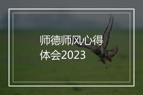 师德师风心得体会2023