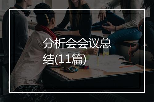 分析会会议总结(11篇)