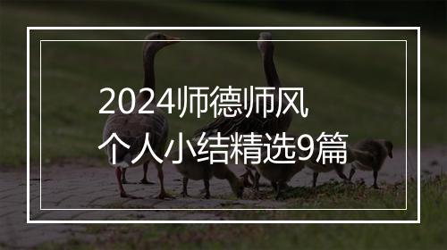 2024师德师风个人小结精选9篇