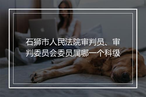 石狮市人民法院审判员、审判委员会委员属哪一个科级