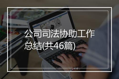 公司司法协助工作总结(共46篇)