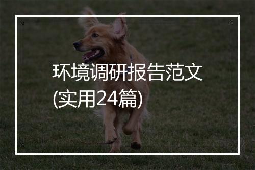 环境调研报告范文(实用24篇)
