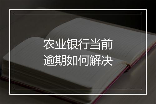 农业银行当前逾期如何解决