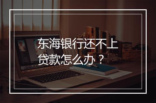 东海银行还不上贷款怎么办？