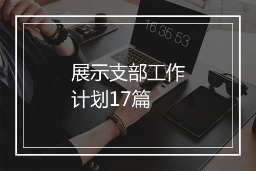 展示支部工作计划17篇