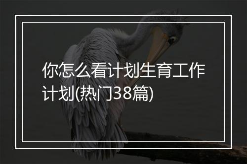 你怎么看计划生育工作计划(热门38篇)