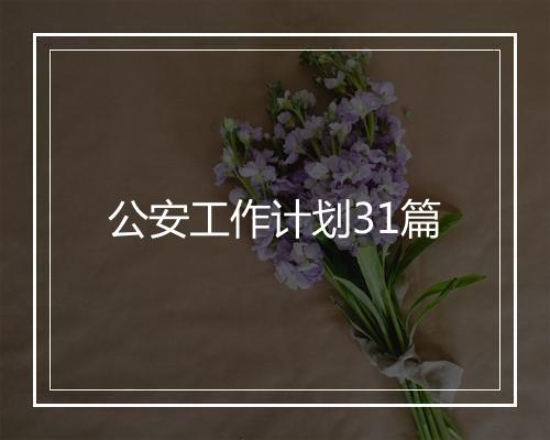 公安工作计划31篇