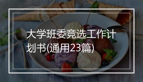 大学班委竞选工作计划书(通用23篇)