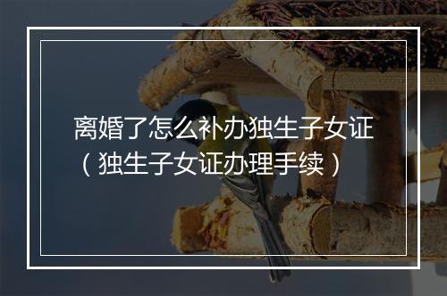 离婚了怎么补办独生子女证（独生子女证办理手续）