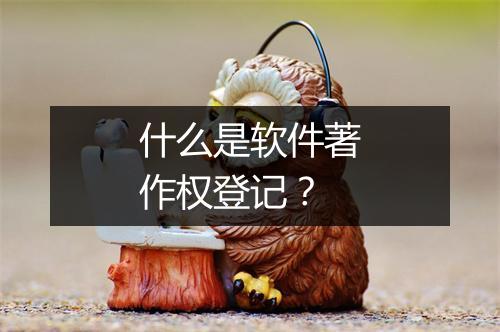 什么是软件著作权登记？