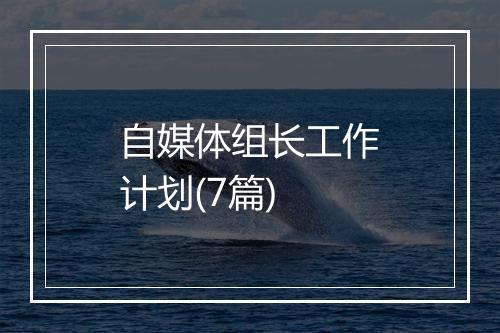 自媒体组长工作计划(7篇)
