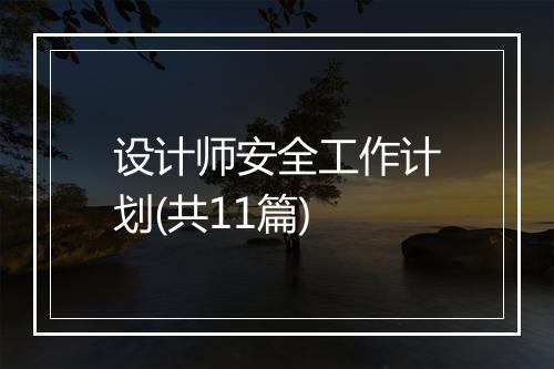 设计师安全工作计划(共11篇)