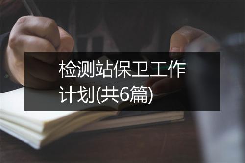 检测站保卫工作计划(共6篇)