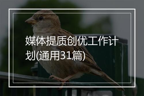 媒体提质创优工作计划(通用31篇)